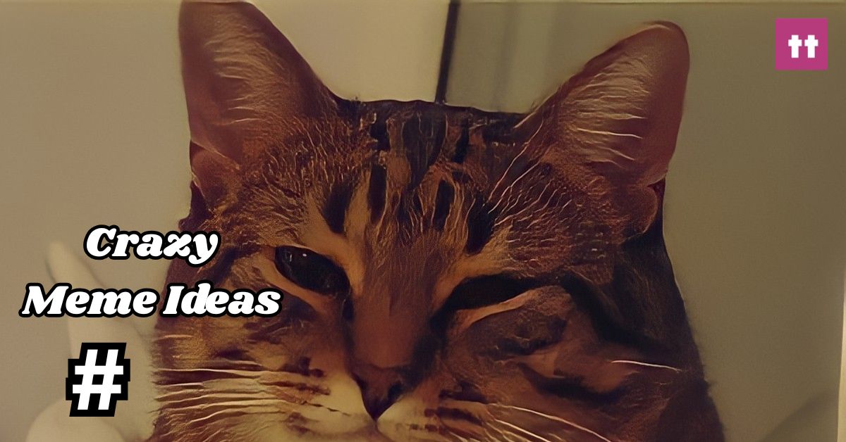 Crazy Meme Ideas